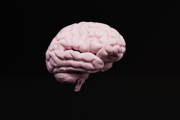 Gehirn auf schwarzem Hintergrund 3D-Render