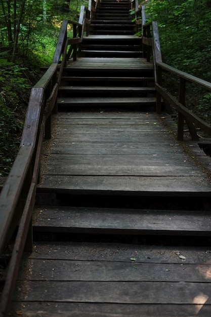 Gehweg durch die hölzerne Straße des Waldes durch den Wald