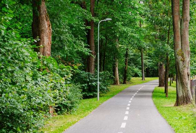 Gehweg für Fußgänger und Radfahrer im Stadtpark