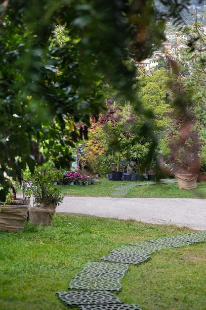 Gehweg im öffentlichen grünen Garten im Freien mit grünem Gras und Blumenhintergrund. Gartengestaltung