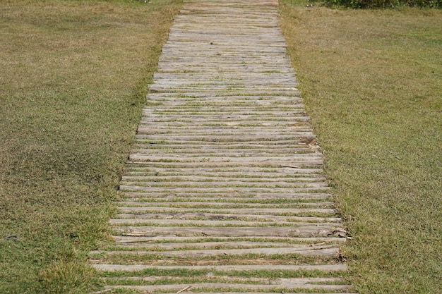 Gehweg im Park auf grünem Gras