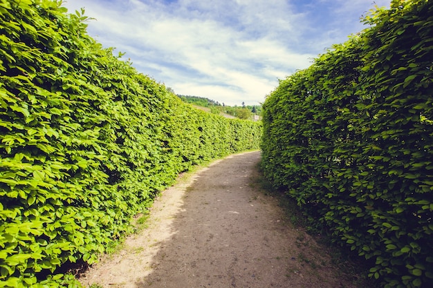 Gehweg im Wallensteingarten in Prag