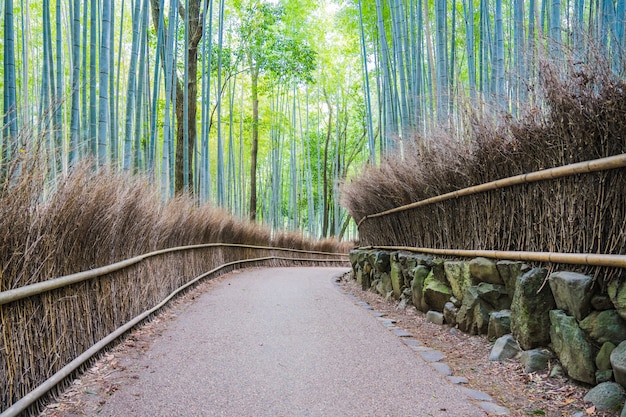 Gehweg in Arashiyama Bambushainen, Kyoto, Japan