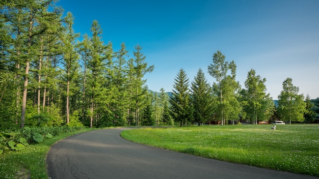 Gehweg-Natur-Landschaftsansicht-Hintergrund