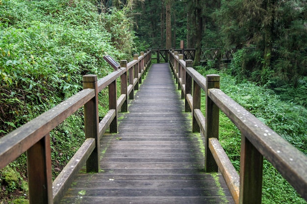 Gehweg vom Holz in Taiwan