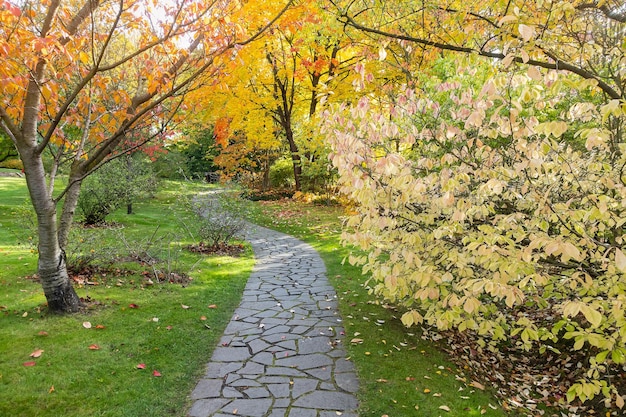 Gehwegfertiger im Herbstpark Gelbe Bäume Sträucher und Büsche Gewundener Pfad aus Stein auf Gras fallen