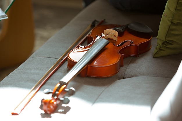 Geige auf Sofa im Sonnenlicht liegend