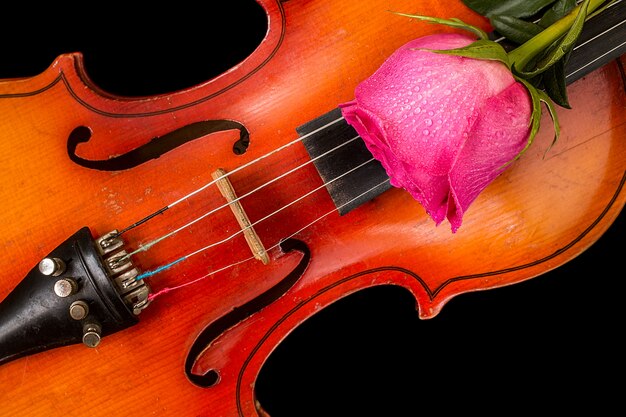 Geige und rote Rose auf schwarzem Hintergrund.