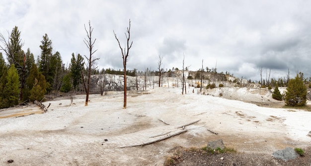 Gêiser de águas termais com água colorida na paisagem americana