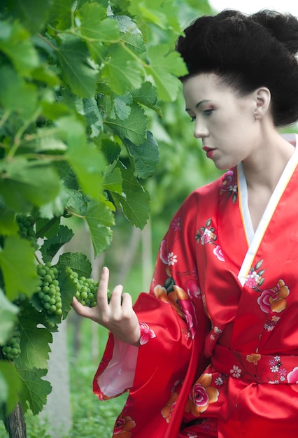 Geisha en viña