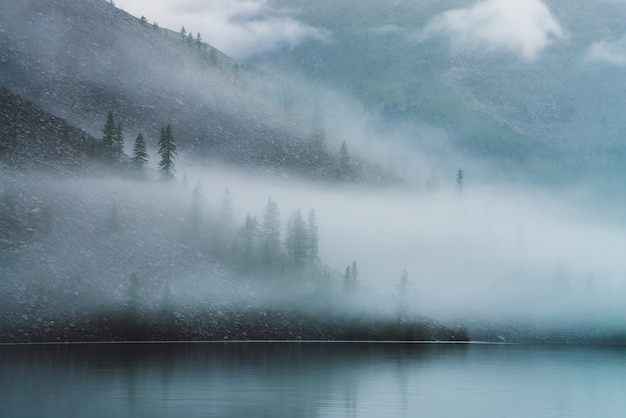 Geisterhafte atmosphärische Aussicht auf den ruhigen Bergsee und den steinigen steilen Hang mit Nadelbäumen im dichten Nebel.