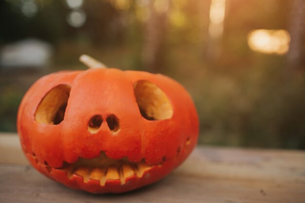 Geisterkürbisse an Halloween