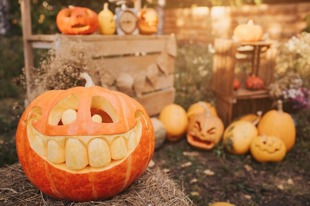 Geisterkürbisse auf Halloween-Hintergrund