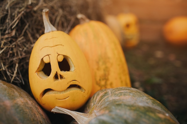 Geisterkürbisse auf Halloween-Hintergrund