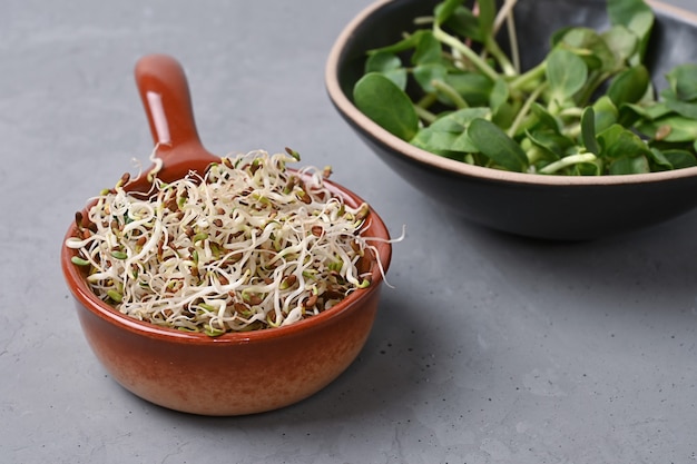 Gekeimte Mikrogrüns für gesunde Ernährung, Flachs- und Sonnenblumensprossen in Schalen auf grauem Hintergrund, vegetarisches Essen, Kopierraum.