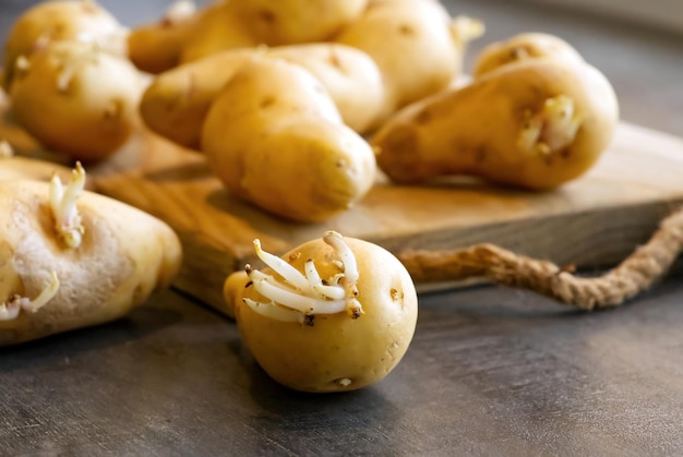 Gekeimte Saatkartoffeln auf einem dunklen Tisch und Holzbrett