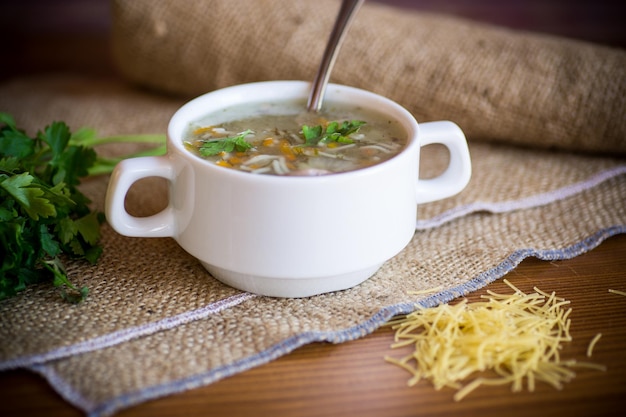 Gekochte heiße Suppe mit Nudeln und Gemüse auf einem Teller