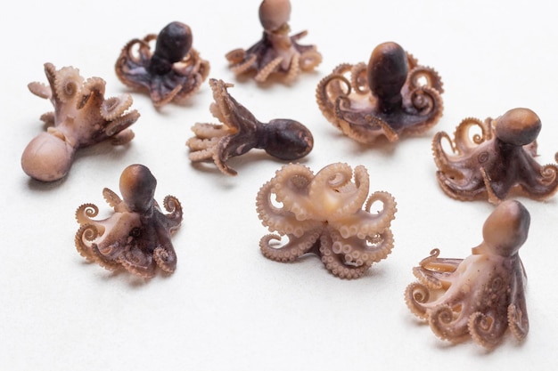 Gekochte Oktopus-Babys auf dem Tisch Draufsicht Weißer Hintergrund