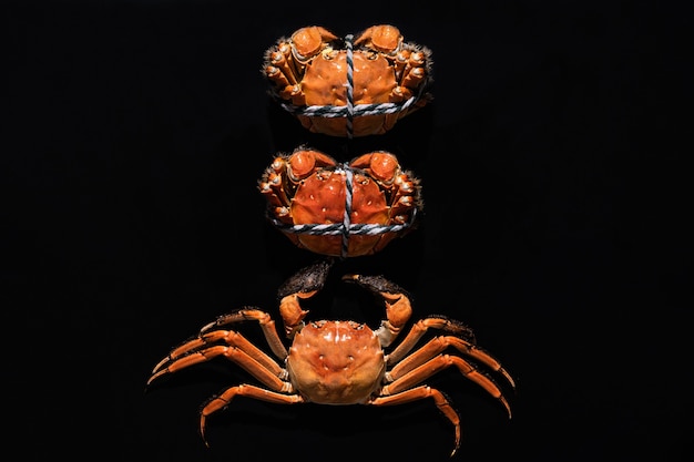 Foto gekochte shanghai hairy crab oder chinesische wollhandkrabbe (eriocheir sinensis) mit chili und kräutern auf schwarzem hintergrund