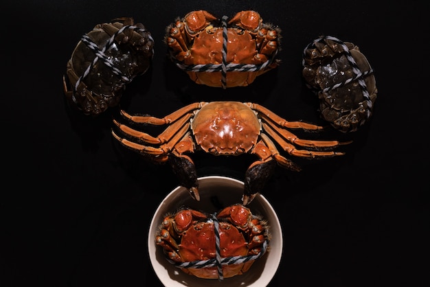 Gekochte Shanghai Hairy Crab oder Chinesische Wollhandkrabbe (Eriocheir sinensis) mit Chili und Kräutern auf schwarzem Hintergrund