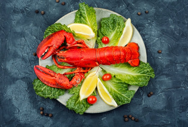 Gekochter ganzer roter Hummer mit frischem Salat