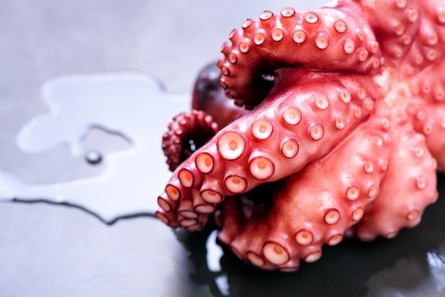 Gekochter Oktopus auf Metallhintergrund mit Kopienraum