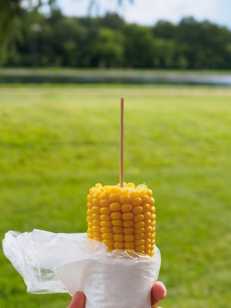 Foto gekochter zuckermais am spieß in der hand vor dem hintergrund eines parkblicks