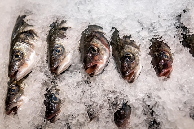 Gekühlter Fisch im Eis im Supermarkt