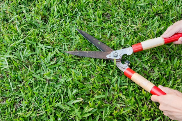 Gekürzte Hände, die Gras im Park mähen