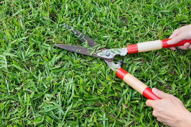 Gekürzte Hände schneiden Gras auf Land im Park