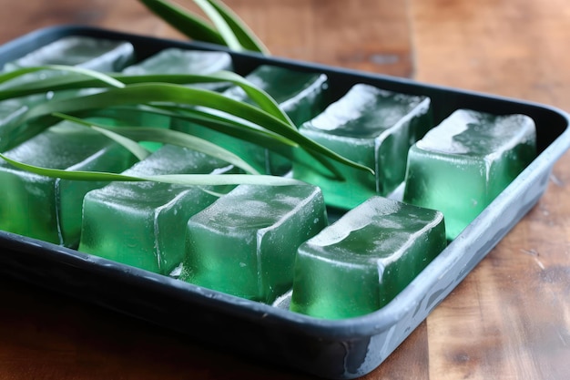 Gel de aloe vera en una bandeja de cubitos de hielo Hack para el cuidado de la piel IA generativa