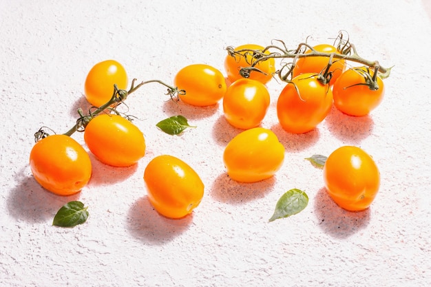 Gelb-orange Tomaten auf hellem Gipshintergrund. Frisches reifes Gemüse, Erntekonzept. Ein trendiges hartes Licht, dunkler Schatten, Kopierraum