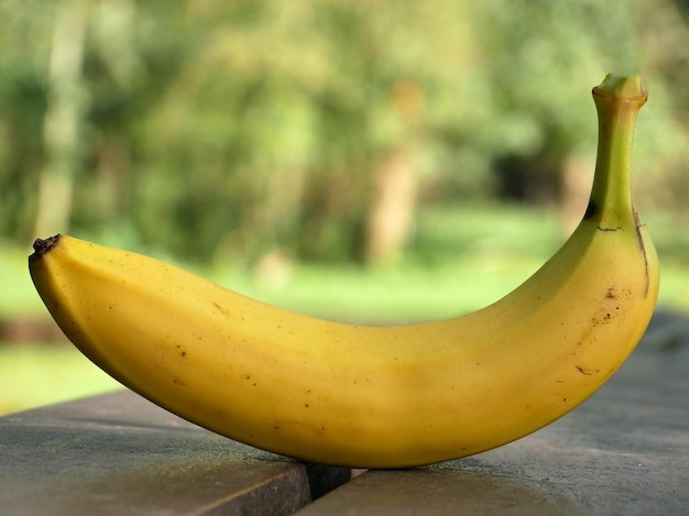 Gelbe Bananenfrucht-Hintergrund-Bananen-Foto-Gemälde