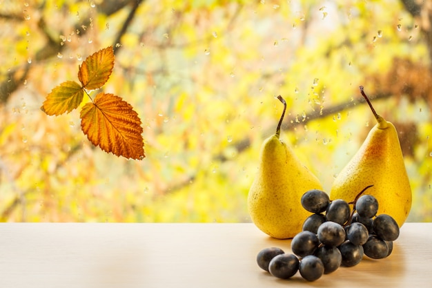 Gelbe Birnen, Trauben und trockenes Blatt auf Fensterglas mit Wassertropfen im unscharfen natürlichen Hintergrund. Gefallene Blätter und Regentropfen auf einer Fensterscheibe mit Herbstbäumen im Hintergrund.