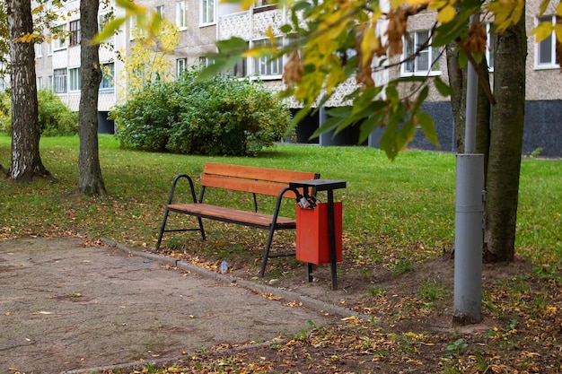 Gelbe Blätter auf Ast auf dem Hintergrund der Parkbank