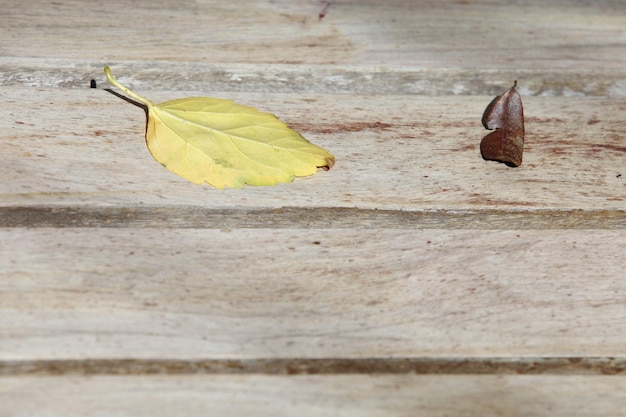 gelbe Blätter auf Holzboden