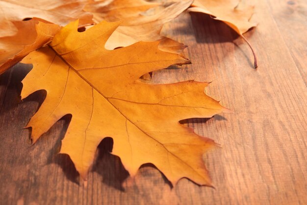 Gelbe Blätter im Herbst auf Holztisch Nahaufnahme