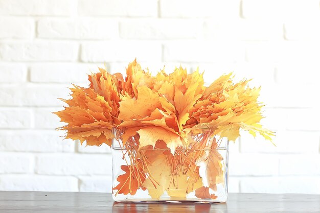 gelbe Blätter in einer Vase / Herbststrauß aus Ahornblättern, Herbstlandschaft zu Hause, Herbstansicht