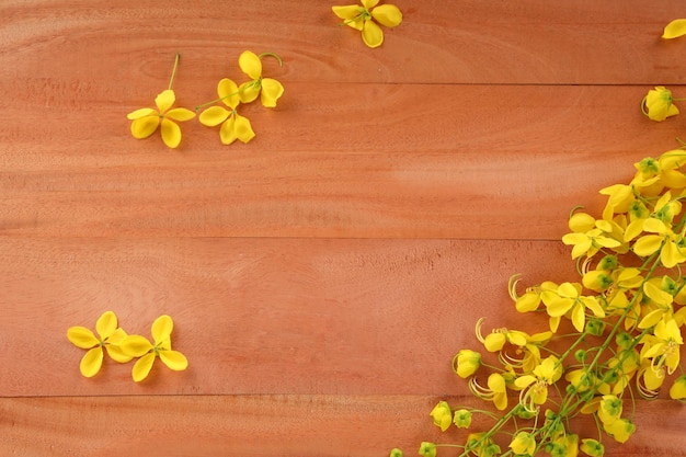 Gelbe Blüten von Golden Shower oder Cassia Fistula, die in Kerala allgemein als Kani Konna bekannt ist, angeordnet auf weißem strukturiertem Hintergrund.