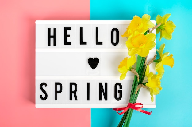 gelbe Blüten von Narzissen, Leuchtkasten mit Zitat Hallo Frühling auf blauem, rosa Hintergrund