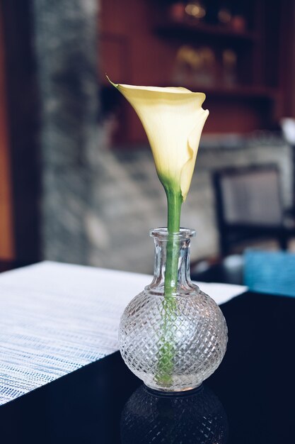 Gelbe Blume in der Glasvase auf Restauranttisch