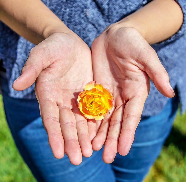 Gelbe Blume in der Hand ein Geschenk für das Mädchen