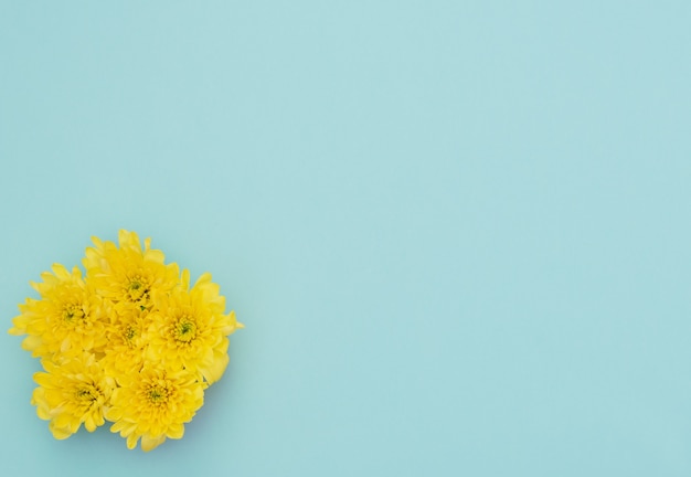 Gelbe Blumen auf Blau