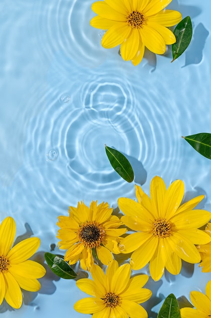 Gelbe Blumen auf der Wasseroberfläche. Schöner Wasserwellenhintergrund für die Produktpräsentation. Platz kopieren