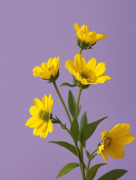 Gelbe Blumen auf einem lila Hintergrund
