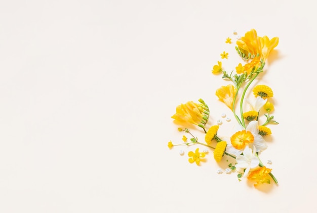 gelbe Blumen auf gelbem Papierhintergrund