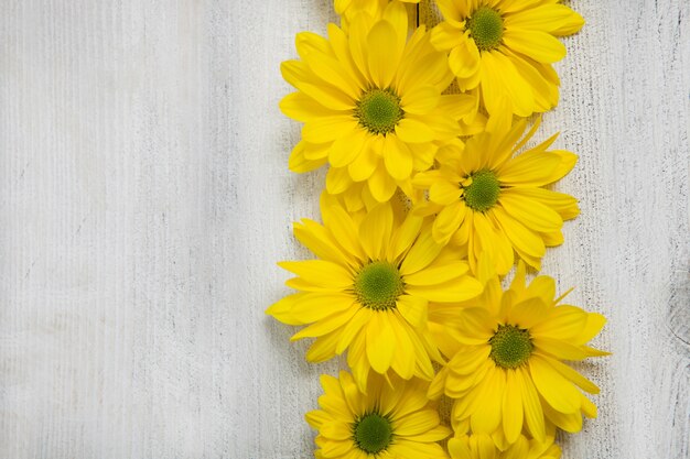 Gelbe Blumen über gemaltem hölzernem Hintergrund für Text