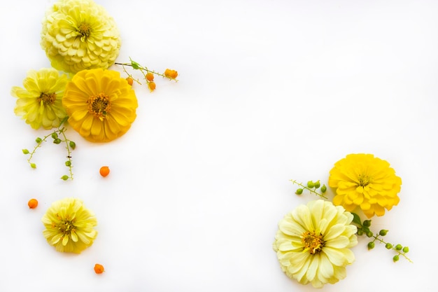 Foto gelbe blumen zinnia elegans anordnung flach lag postkartenstil