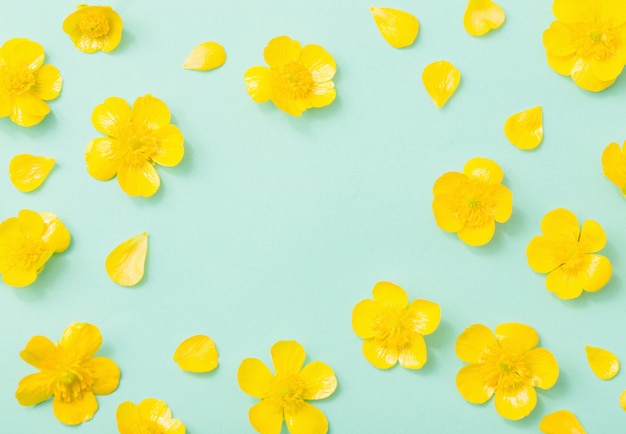 Gelbe Butterblumen auf grünem Papierhintergrund