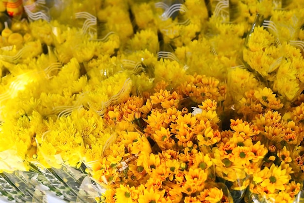 Gelbe Chrysantheme aus der Stadt Dalat auf dem vietnamesischen Straßenmarkt zu verkaufen